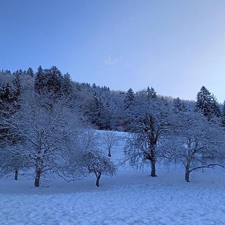 Gite Coeur De Haute-Savoie Viuz-en-Sallaz ภายนอก รูปภาพ