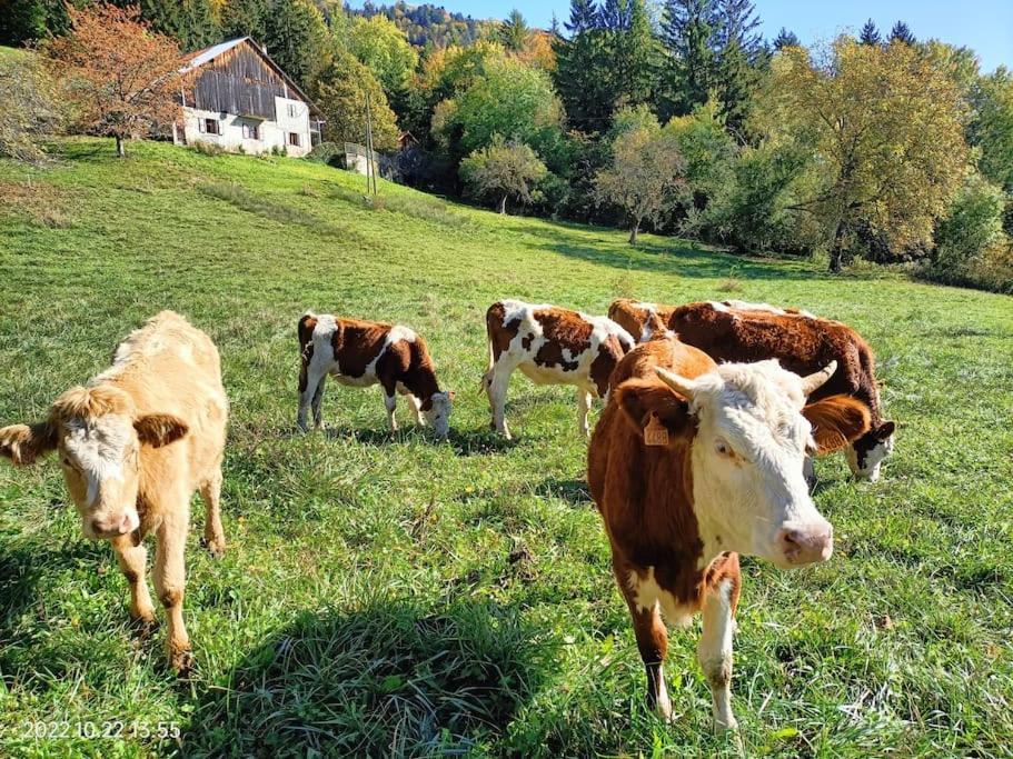 Gite Coeur De Haute-Savoie Viuz-en-Sallaz ภายนอก รูปภาพ
