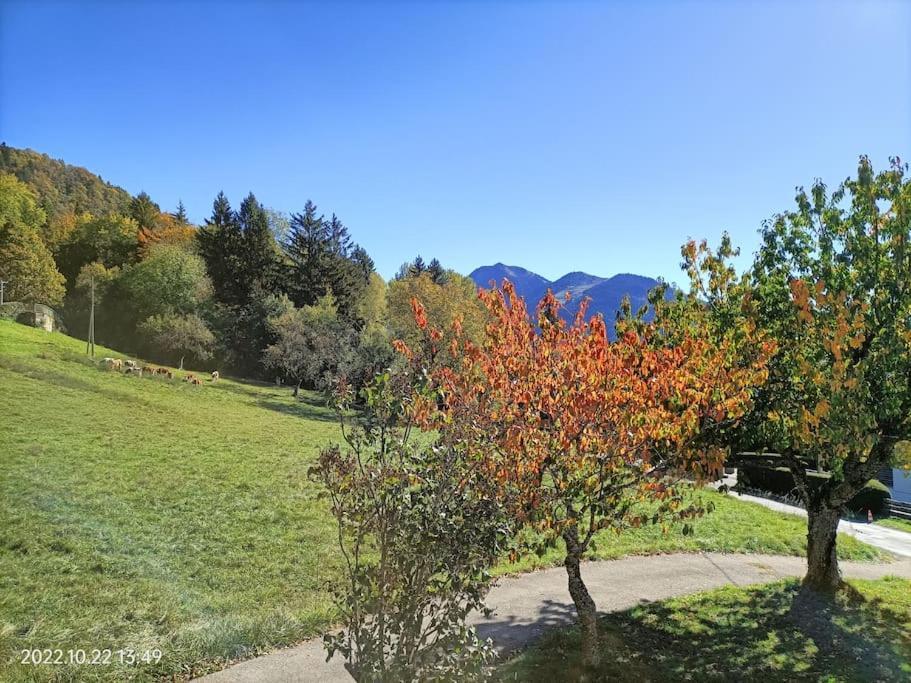 Gite Coeur De Haute-Savoie Viuz-en-Sallaz ภายนอก รูปภาพ
