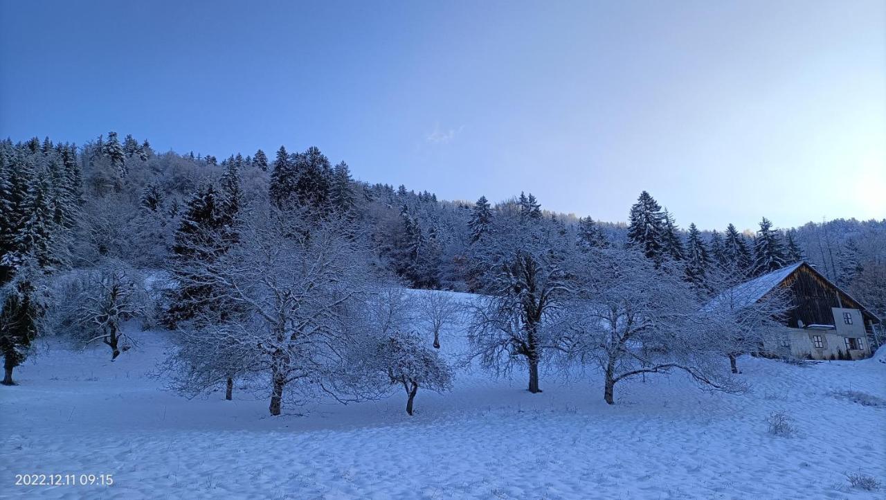 Gite Coeur De Haute-Savoie Viuz-en-Sallaz ภายนอก รูปภาพ
