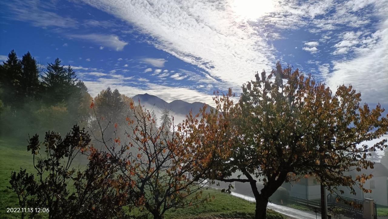 Gite Coeur De Haute-Savoie Viuz-en-Sallaz ภายนอก รูปภาพ