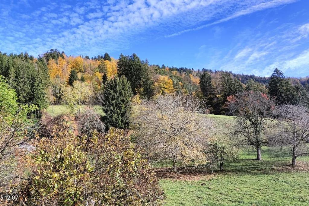 Gite Coeur De Haute-Savoie Viuz-en-Sallaz ภายนอก รูปภาพ